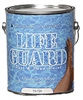 Chloro-Prime Primer for Swimming Pools
